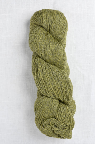 Cascade 220 2452 Turtle