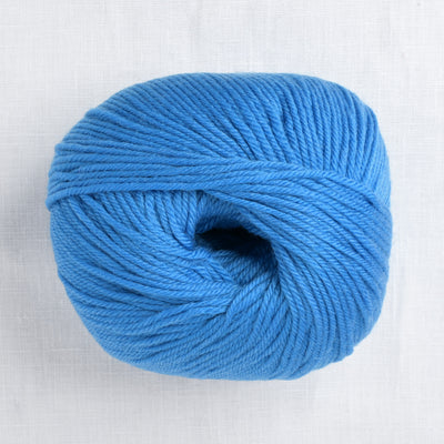 Cascade 220 Superwash 848 Blueberry