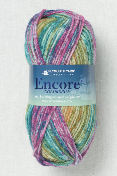 Plymouth Encore Worsted Colorspun 7203 Spectrum Spray