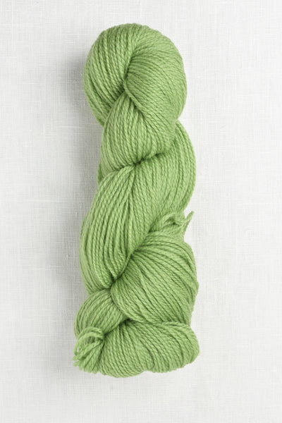 Cascade 220 Superwash Fingering 14 Kiwi