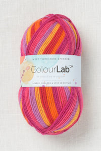 WYS ColourLab DK 914 Tutti Frutti