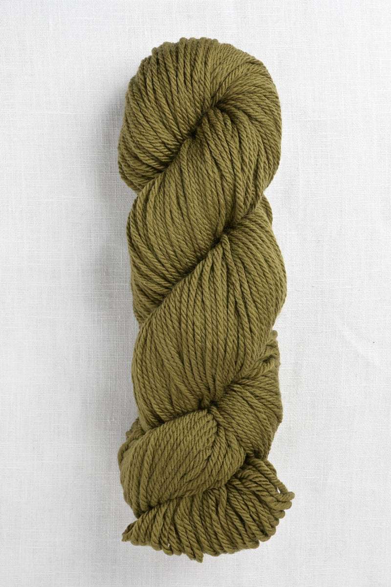 Cascade 220 Superwash Aran 202 Fir Green