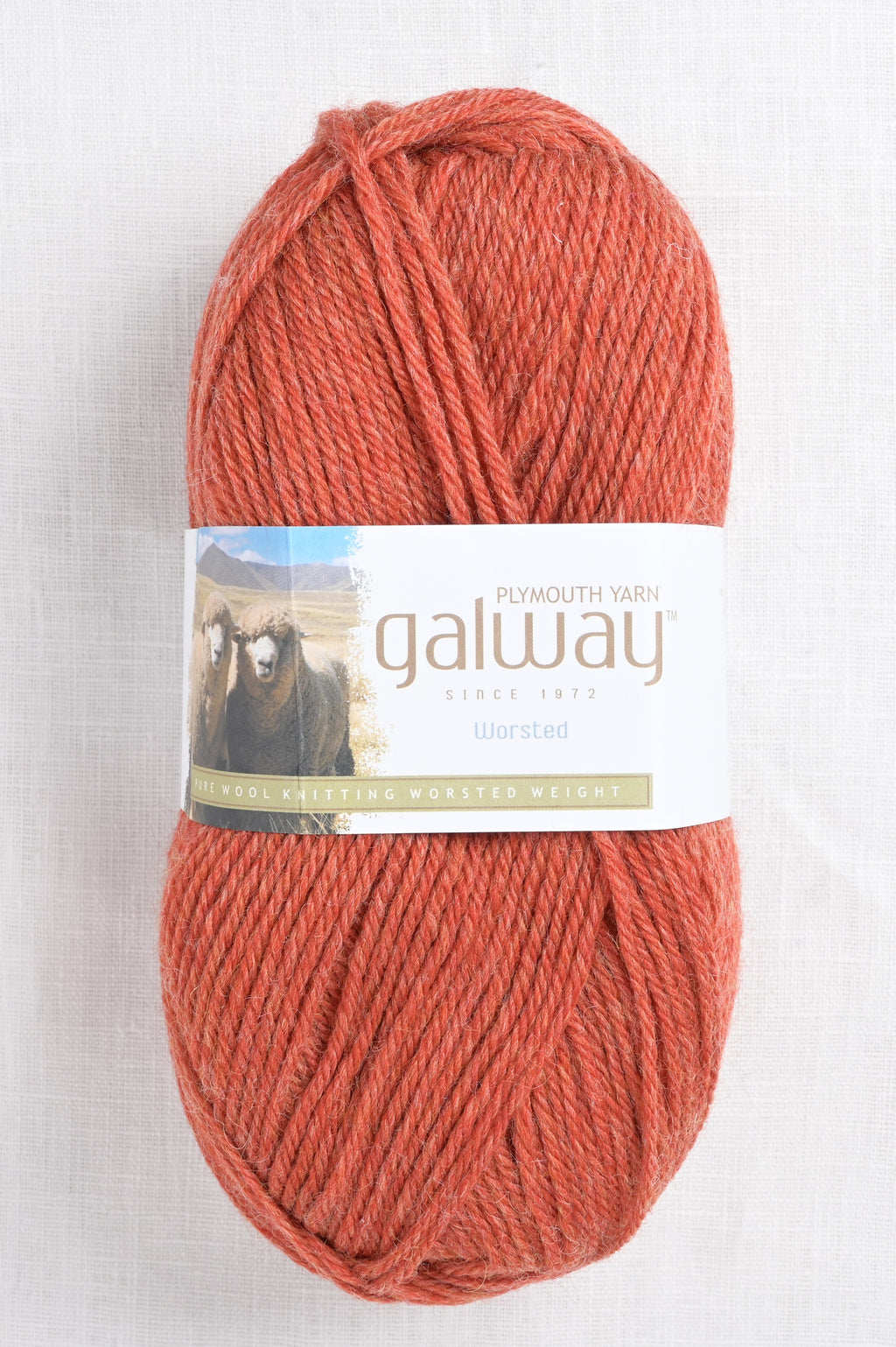 Plymouth Galway Worsted 765 Rustic