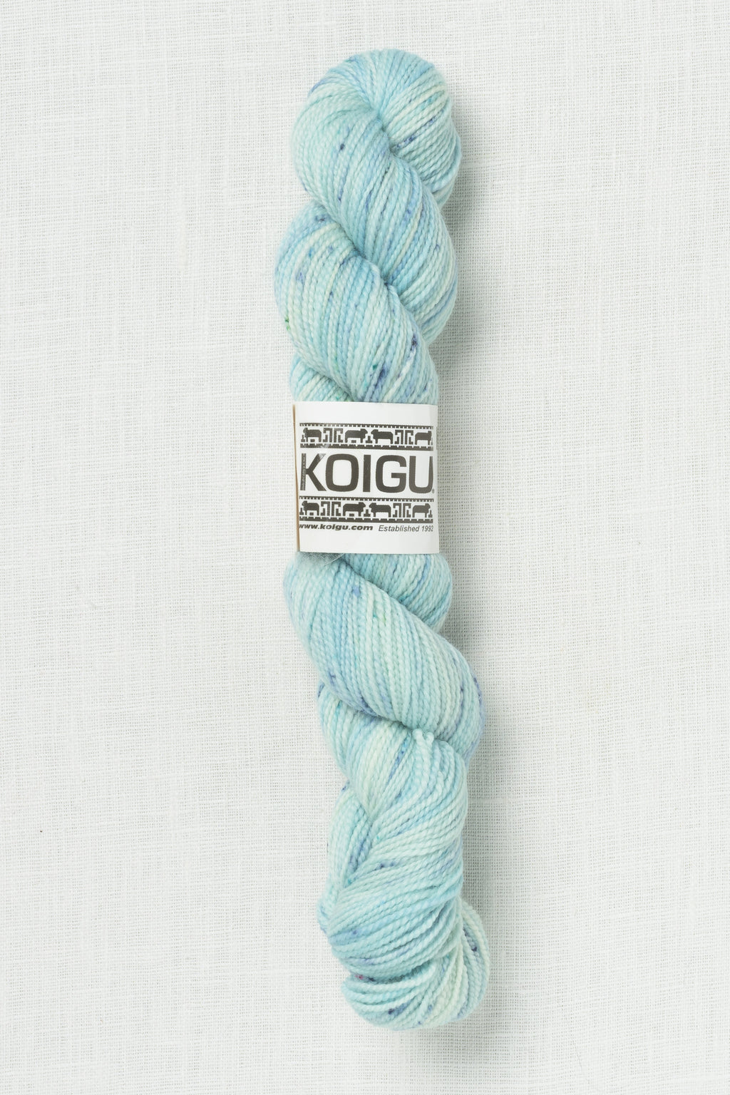 Koigu Painter's Palette Premium Merino KPPPM P480