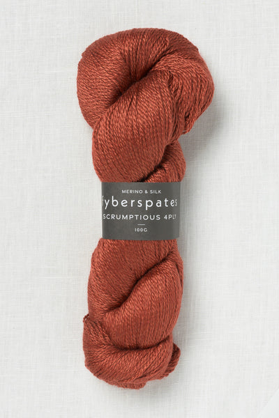 Fyberspates Scrumptious 4 Ply 340 Rumex