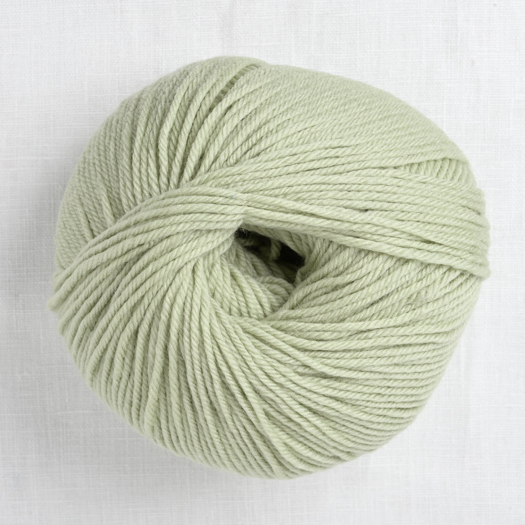 Cascade 220 Superwash 250 Laurel Green