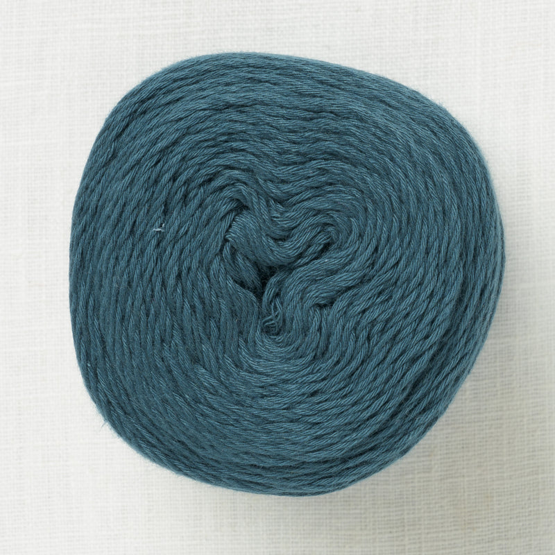 Scheepjes Whirlette 854 Blueberry