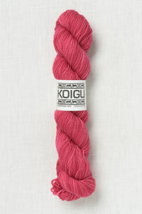 Koigu Premium Merino KPM 1184