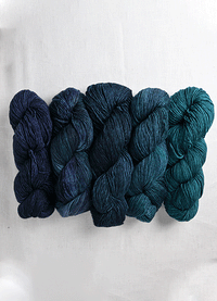 Malabrigo Worsted 702 Paris Teal Set of 5 Full Size Skeins