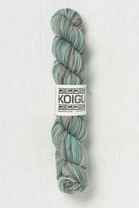 Koigu Painter's Palette Premium Merino KPPPM P323