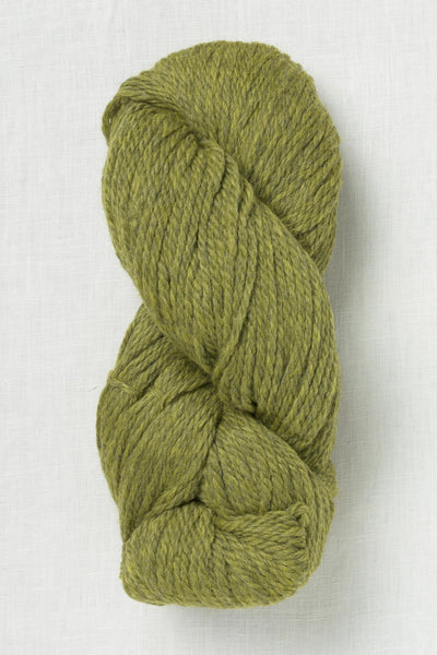 Cascade 220 Grande 2452 Turtle