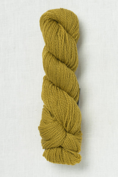 Cascade 220 Sport 9566 Olive Oil