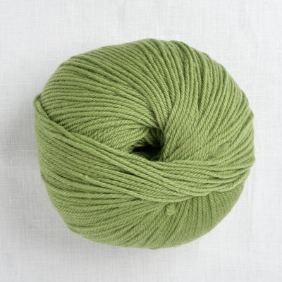 Cascade 220 Superwash 841 Moss