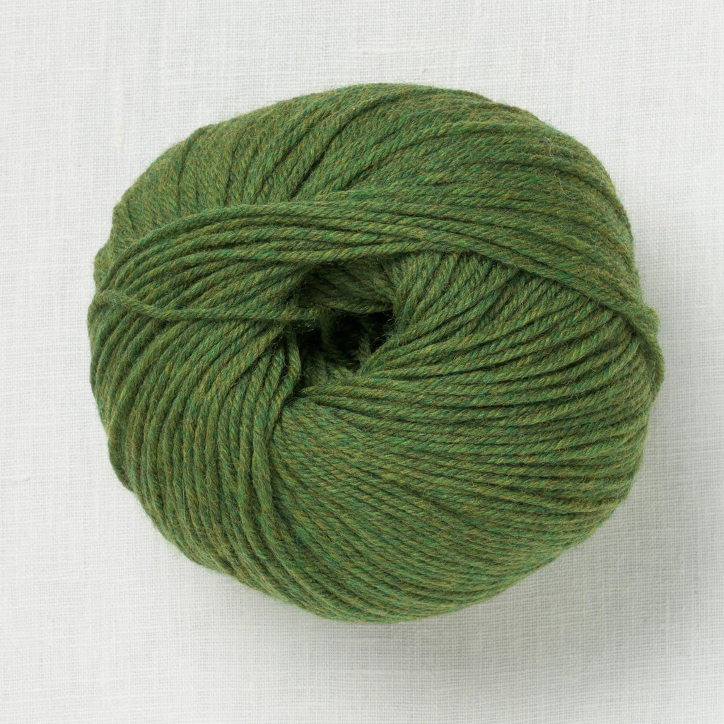 Cascade 220 Superwash 376 Irelande