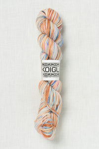 Koigu Painter's Palette Premium Merino KPPPM P053