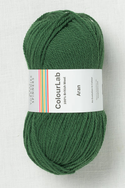 WYS ColourLab Aran Emerald Green