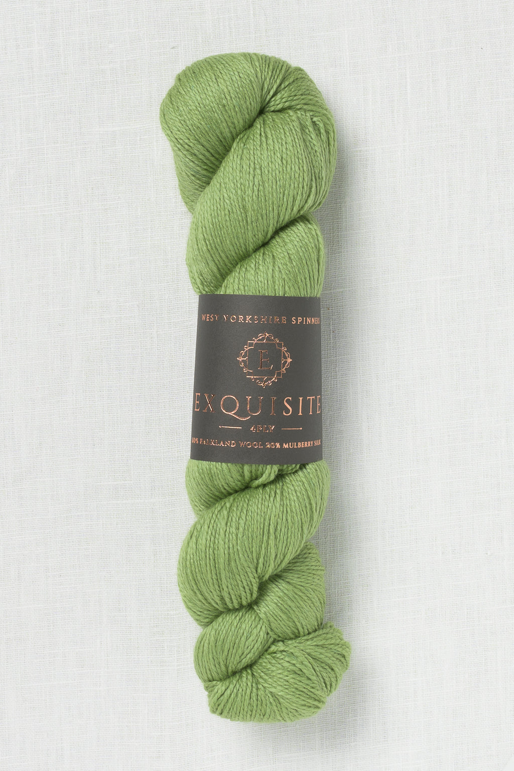 WYS Exquisite 4 Ply 401 Eden