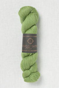 WYS Exquisite 4 Ply 401 Eden