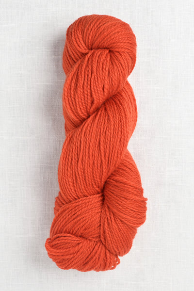 Cascade 220 Superwash Fingering 41 Carrot