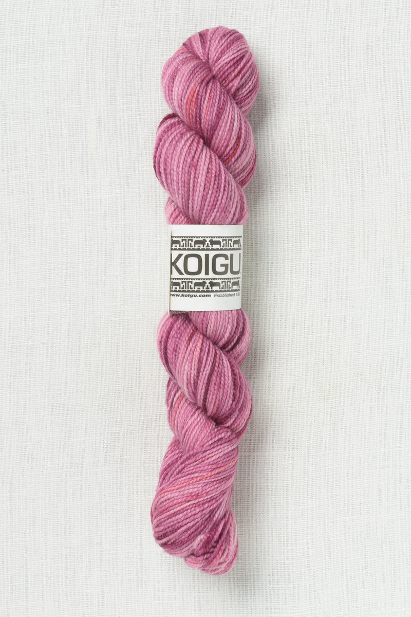 Koigu Painter's Palette Premium Merino KPPPM P024