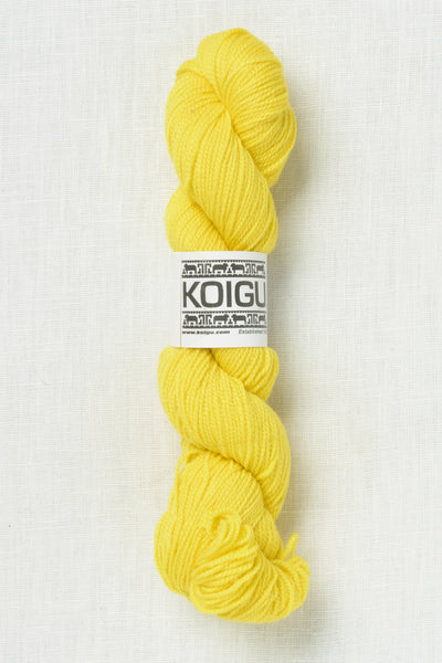 Koigu Premium Merino KPM 2100