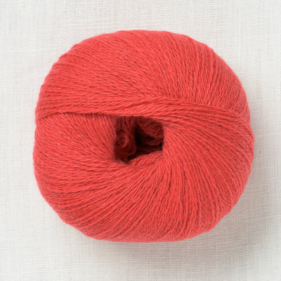 mYak RaKu Fiocco di Cashmere Lace Red Velvet