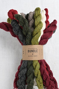 Blue Sky Fibers Woolstok Bundle Holiday Cheer