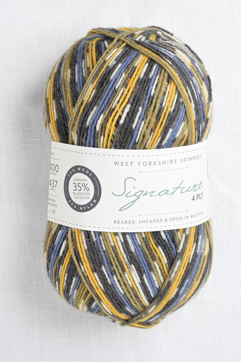 WYS Signature 4 Ply 818 Blue Tit