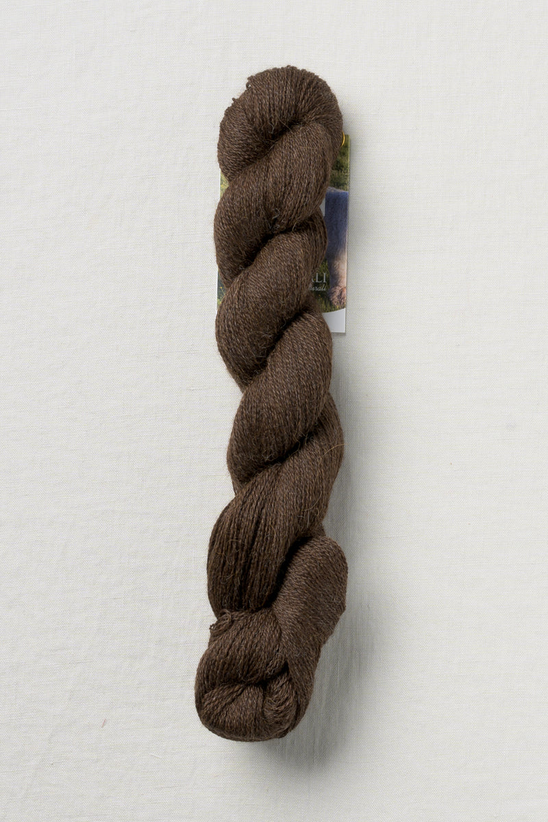 Pascuali Alpaca Lace 07 Espresso