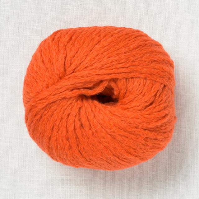 Wooladdicts Honesty 76 Orange