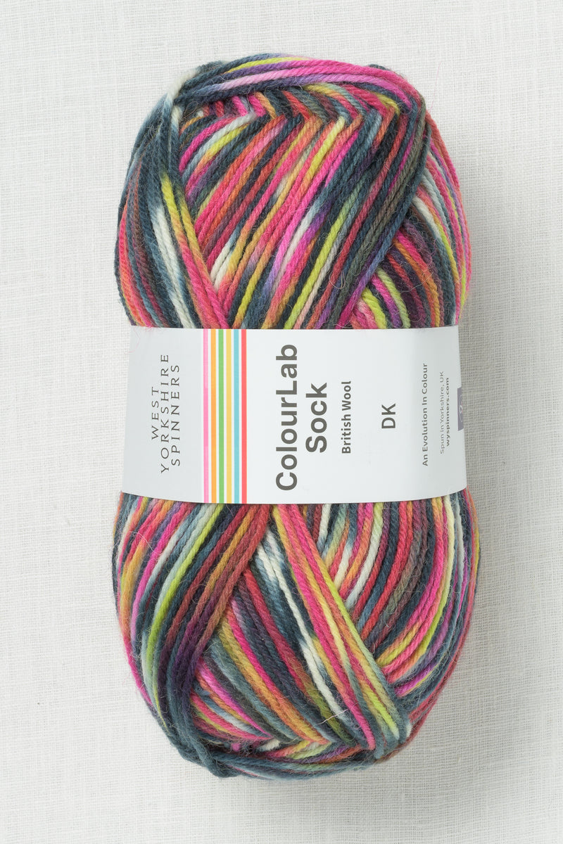 WYS ColourLab Sock DK 1203 Punk