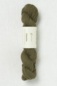 Pascuali Sayama 316 Olive