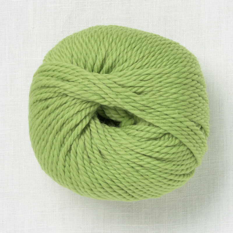 Wooladdicts Glory 117 Kale