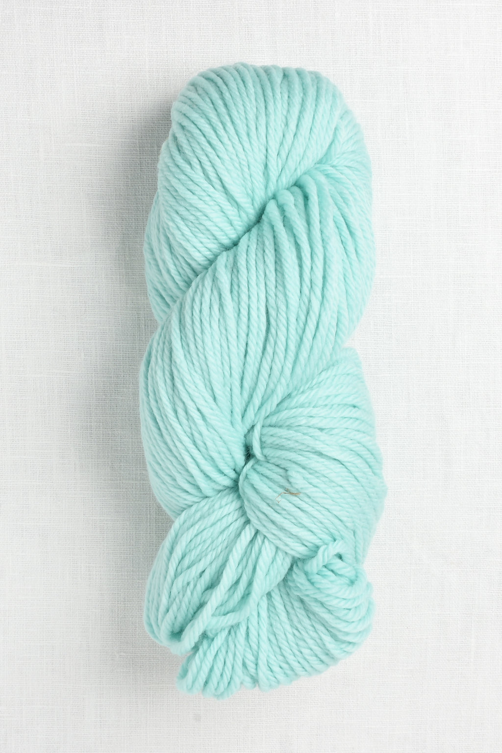 Cascade 220 Superwash Aran 513 Pastel Turquoise