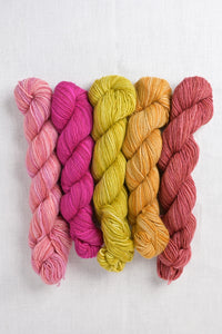 Manos del Uruguay Fino Mini-Skein Set FM16 Sybil