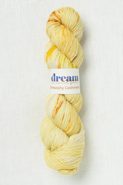 Dream in Color Smooshy Cashmere Sundance