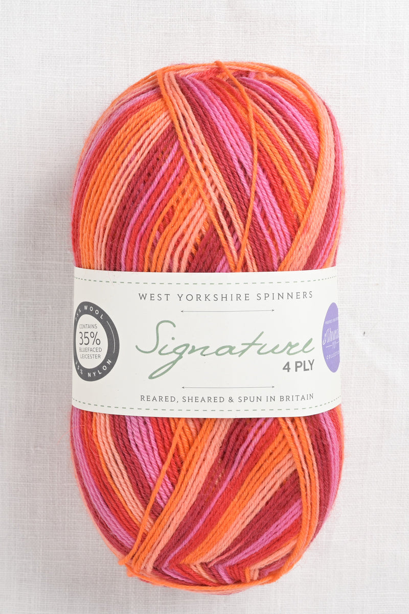 WYS Signature 4 Ply 881 Summer Sunset