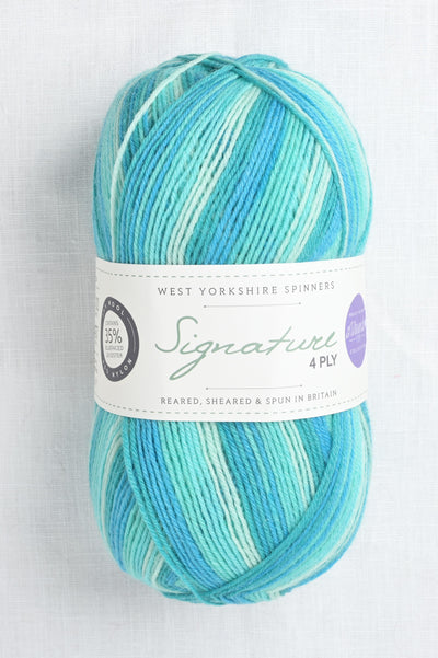 WYS Signature 4 Ply 873 Seascape