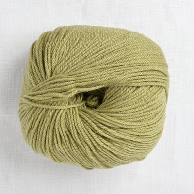 Cascade 220 Superwash 209 Cedar