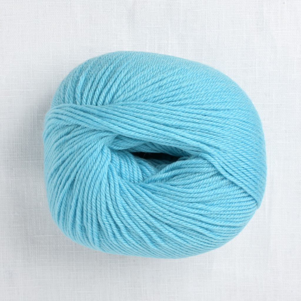 Cascade 220 Superwash 227 Bachelor Button