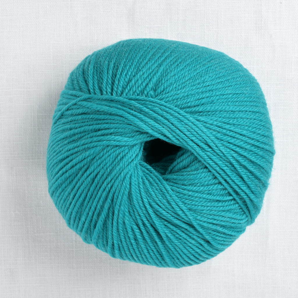 Cascade 220 Superwash 810 Teal