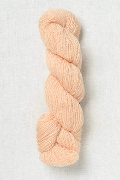 Cascade 220 Sport 1033 Nectarine