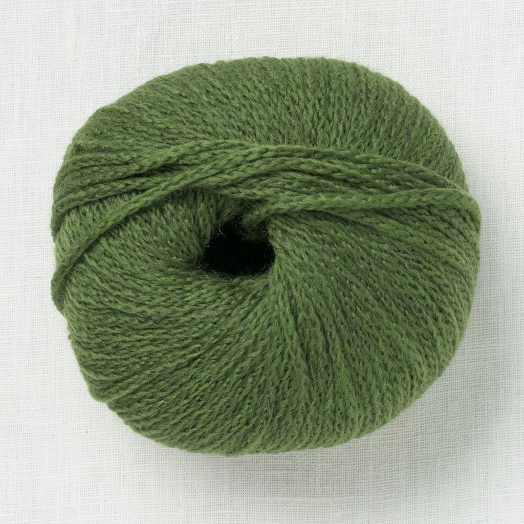 Wooladdicts Memory 118 Spirulina