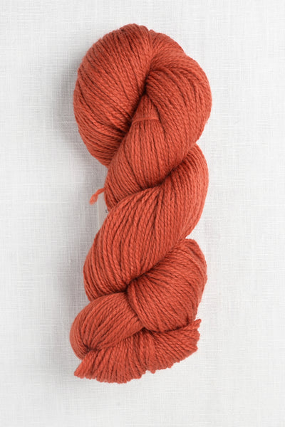 Cascade 220 Superwash Fingering 06 Burnt Orange