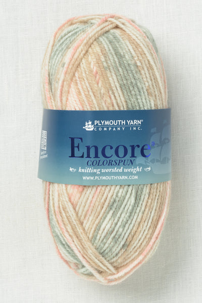 Plymouth Encore Worsted Colorspun 7806 Fairy Tales Mix