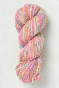 Juniper Moon Patagonia Organic Merino Hand Paints 1006 Iridescence