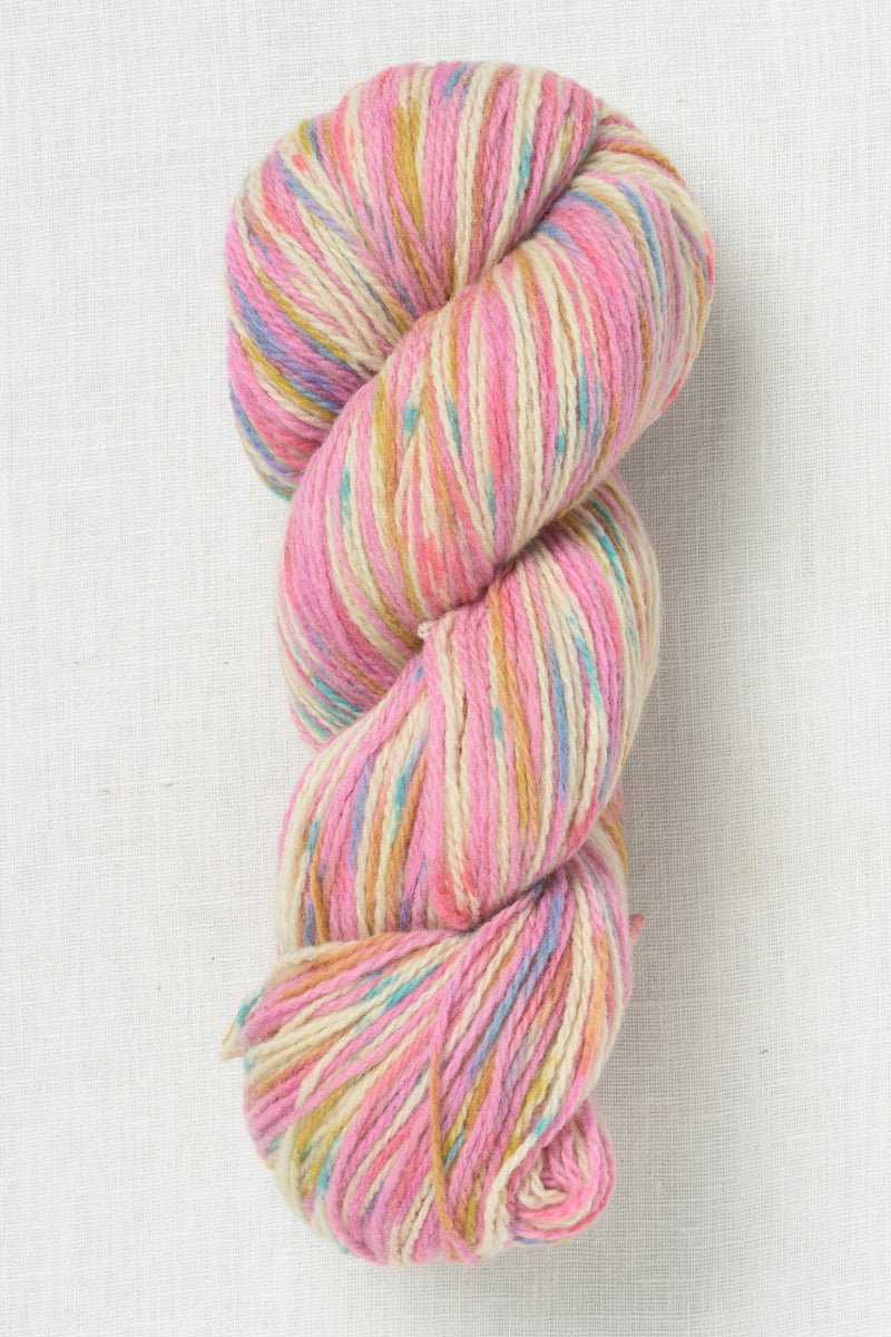 Juniper Moon Patagonia Organic Merino Hand Paints 1006 Iridescence