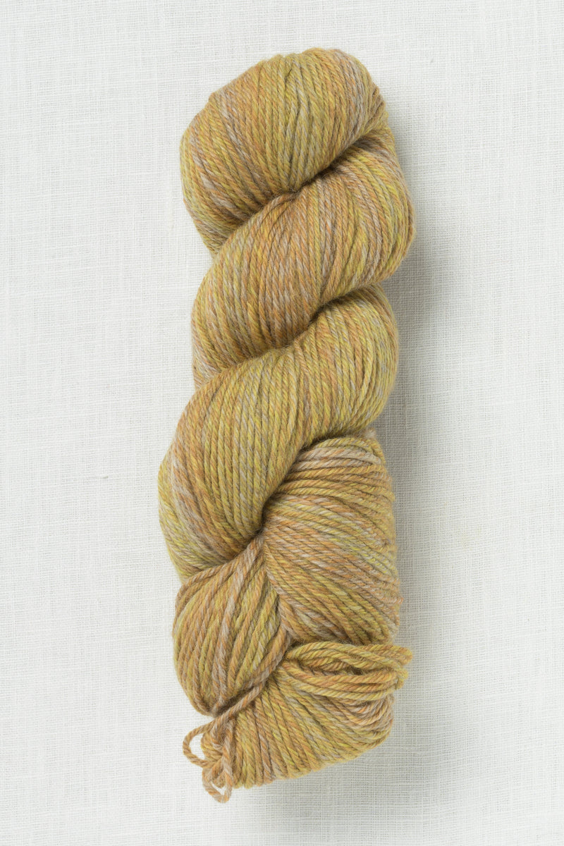 Cascade 220 Superwash Wave 123 Golden Hour