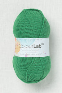 WYS ColourLab DK 363 Bottle Green