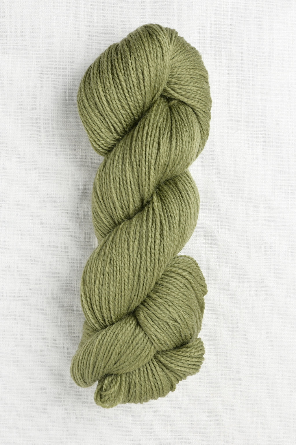 Cascade 220 Superwash Fingering 58 Iguana